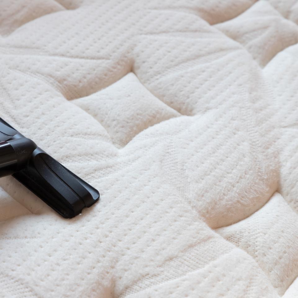 Comment nettoyer l'urine de chat sur un matelas — free download